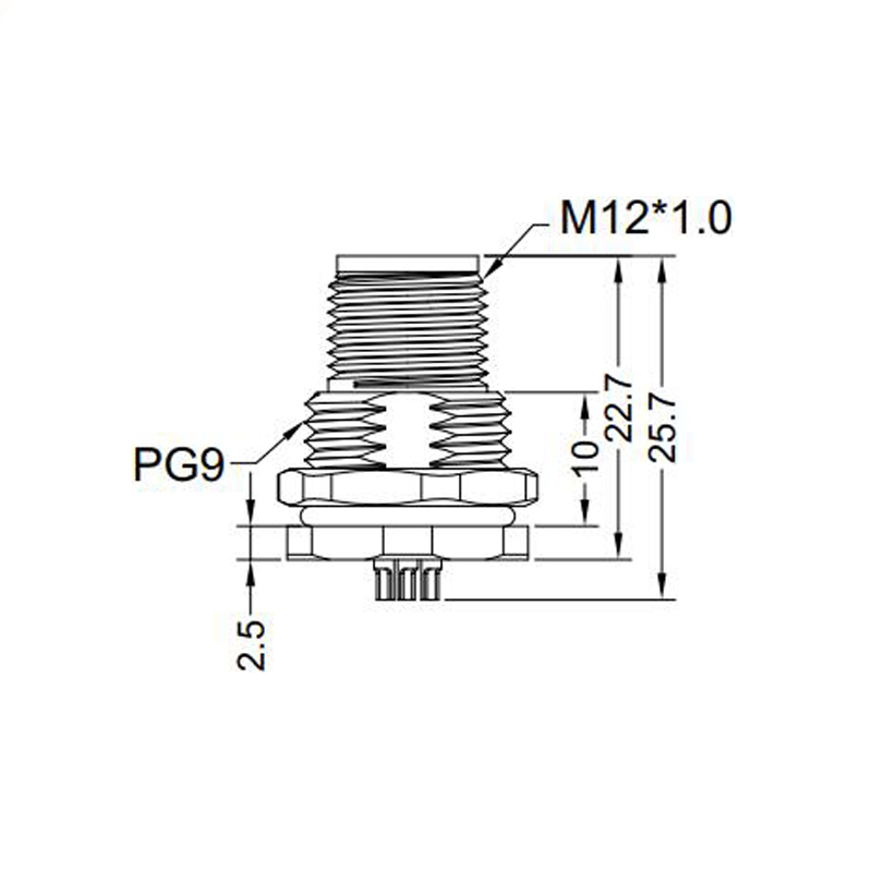 M12 17pins A code male straight front panel mount connector PG9 thread,unshielded,solder,brass with nickel plated shell